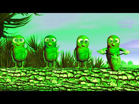 Gaita Pajarona -La Granja de Zenon 3 