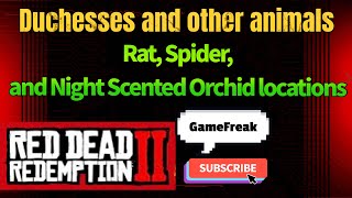 Rat, Spider, and Night Scented Orchid locations RDR2 #videogames #gaming #tutorial