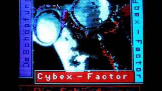 CYBEX FACTOR   B  NO ROCK 1991