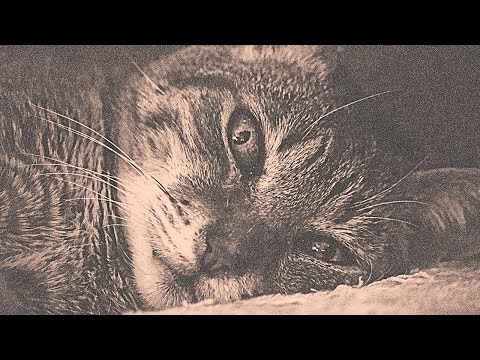 "No.02" - Dope Old School Hip Hop Instrumental Rap Beat