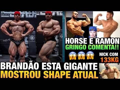 HORSE IMPRESSIONA MAIS QUE RAMON ? GRINGO OPINA - BRANDÃO GIGANTE ( SHAPE ATUAL) - NICK WALKER 133KG