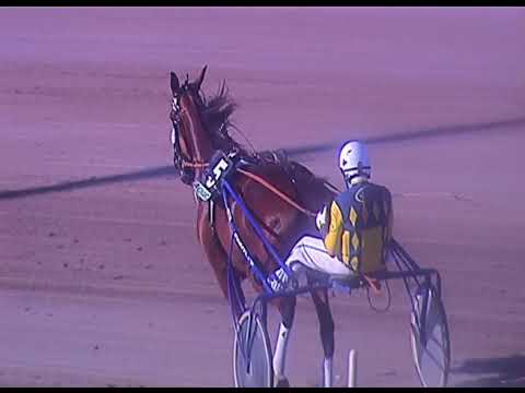 Trotto 27/06/2020 - 1ª corsa