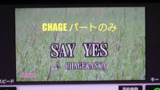 SAY YES／CHAGE & ASKA チャゲアス【CHAGEさんパートのみ(精密採点73.7)】