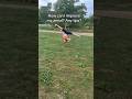 Any Tips To Improve My Aerial Shorts Aerial
