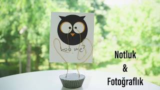 En Kolay Tel Ve Betonla Notluk Ve Fotoğraflık / kendin yap / diy / Figen Ararat