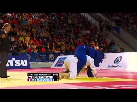 Tina Trstenjak vs Clarisse Agbegnenou World Judo Championships 2015
