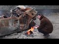 Seafret - Lost City (Atlantis Behind The Scenes ...