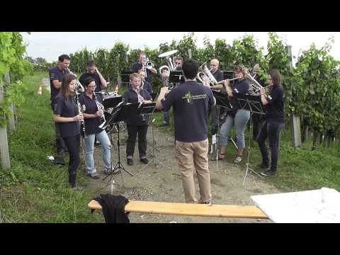 MG Schinznach-Dorf - When you say nothing at all (arr. Ron Serbregts)