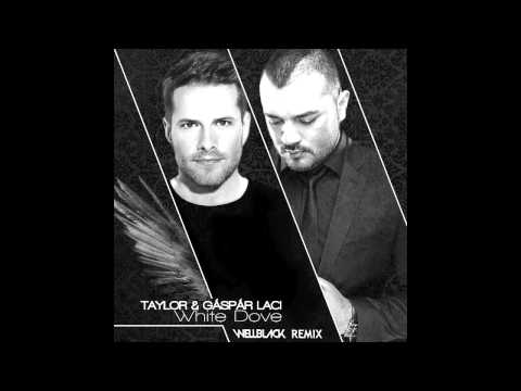 Taylor & Gáspár Laci - White Dove (Wellblack Radio Edit)