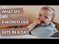 REALISTIC WHAT MY 8 MONTH OLD EATS IN A DAY UK | Baby Led Weaning & Formula Feeding | HomeWithShan