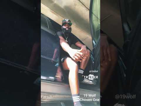 19 Wolf Music Video