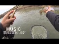 Twitchin Leeches Under A CorQ