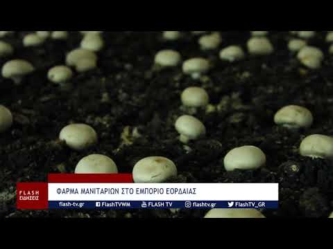 , title : 'Ο FLASH σε φάρμα μανιταριών στο Εμπόριο Εορδαίας'