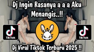 Download lagu DJ INGIN RASANYA AKU MENANGIS - DJ VIRAL TIKTOK TERBARU 2025 mp3