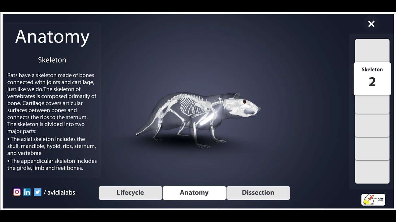 Avidia Labs K12 Simulation: ShowReel - Part 1