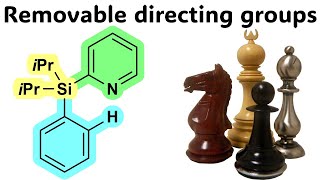 Removable and modifiable directing groups in C-H activation