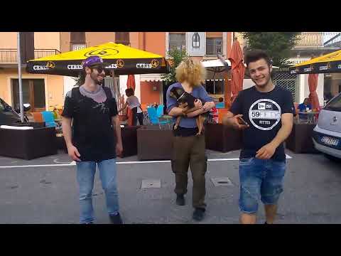 LUPI NEGVI feat. Barney - MISTIK4ZZ0