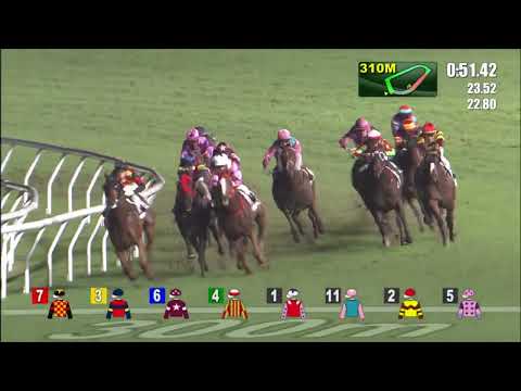 8/6/2022 (739) You'remyeverything - Vincent Ho