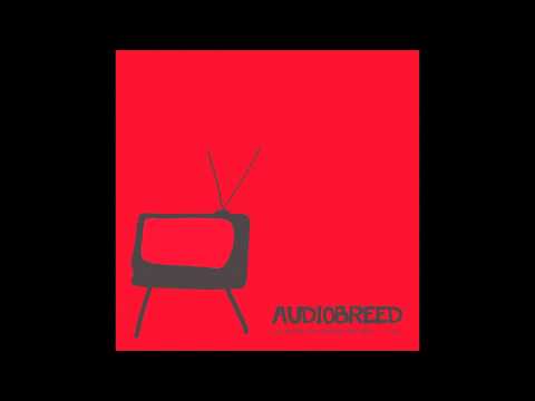 Audiobreed - I Don't Care