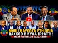 Marii Hayoota Oromoo Juwar Mohammed 16 July 2026