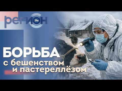Регион LIFE  |Борьба с бешенством и пастереллезом| ОТС LIVE — прямая трансляция