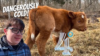 New baby in freezing weather!!!