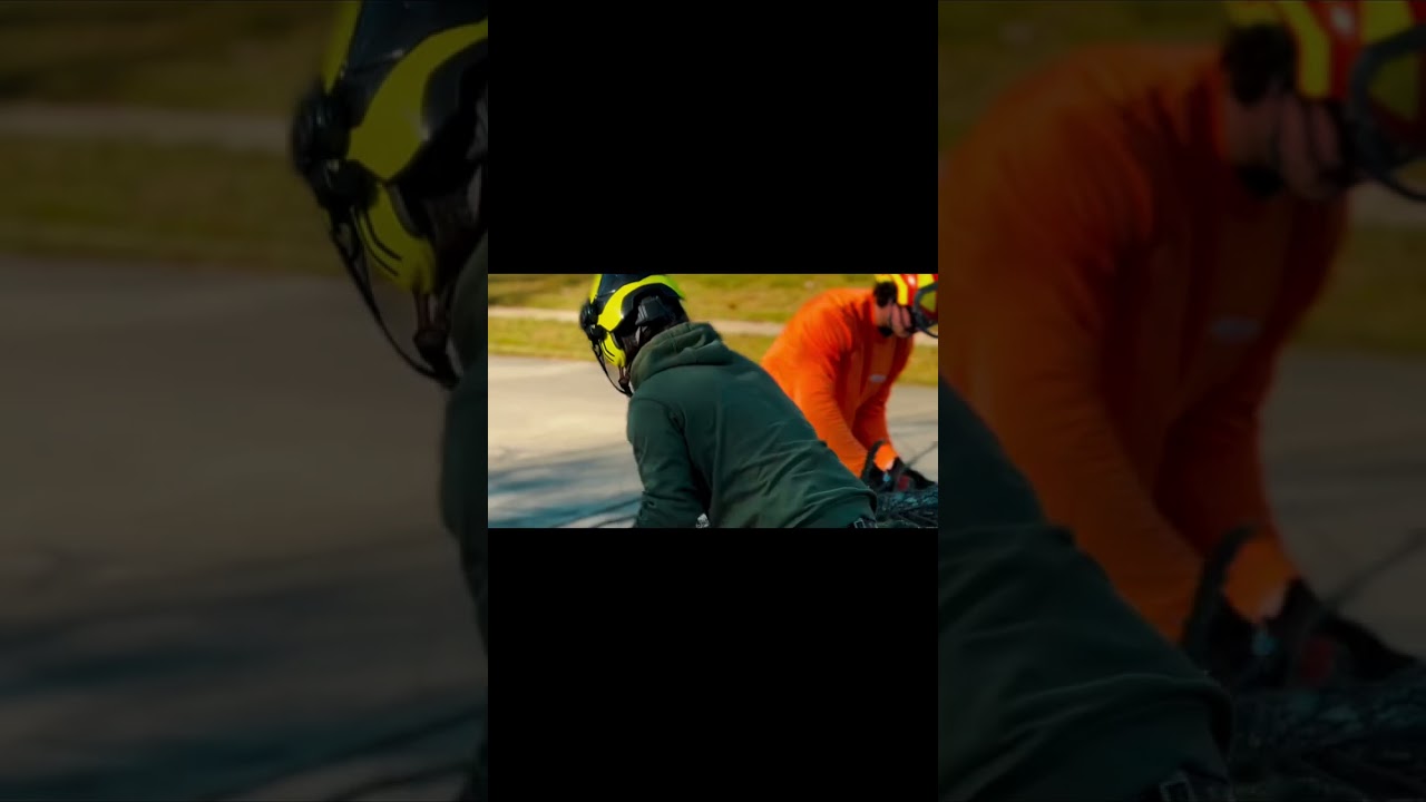 american forestry services overview