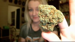 CANNABIS RELIEVES MIGRAINES?! | news nug recap | CoralReefer &amp; DizzyOG