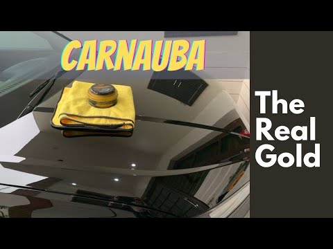 Meguiars Gold Class Carnauba Plus Paste Wax Meguiars Gold Class Carnauba Plus Paste Wax