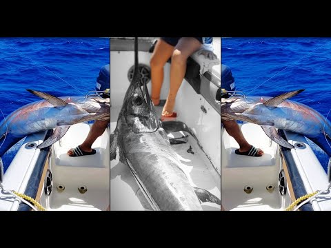 FISH WINCH® Professional = Swordfish (electric fishing reel motors fit 280+ Penn, Shimano, Avet reel