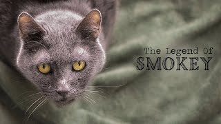 The Legend of Smokey