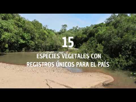 Paso Centurión y Sierra de los ríos.