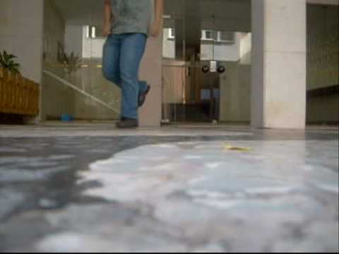 bee  tinho X tinhoW  [free step]