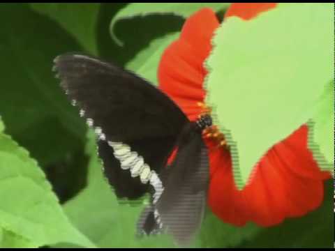 ATFC - In And Out Of My Life Knee Deep Vocal Mix