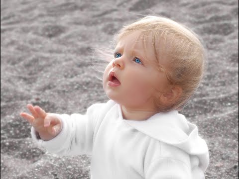 6. Woche: Entwicklung der Herzkammern