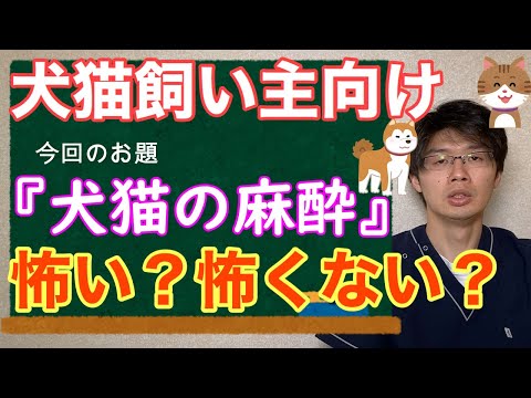 犬の麻酔による副作用