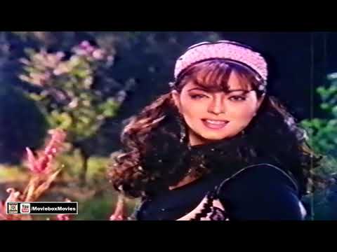 free download pakistani video song free download pakistani video song