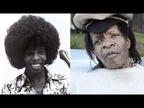 The Life and Tragic Ending of Sly Stone