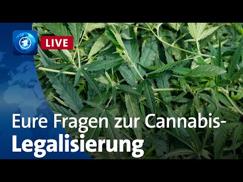 Cannabis-Legalisierung: Der Drogenbeauftragte der Bundesregierung stellt sich euren Fragen