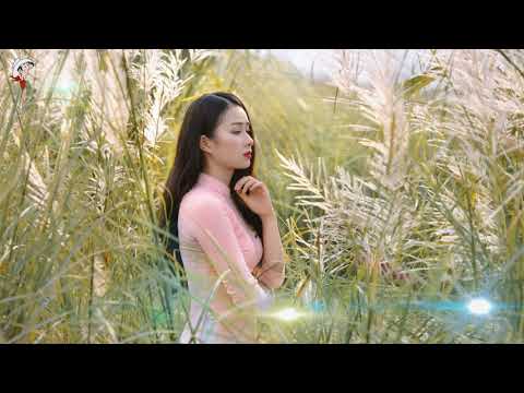 Bóng chiều tà Sheet - Trần Thái Hòa