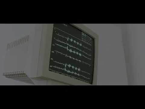 (Du Musst Kämpfen) Boxen Live Zentrum für Athletik Sv Darmstadt 98