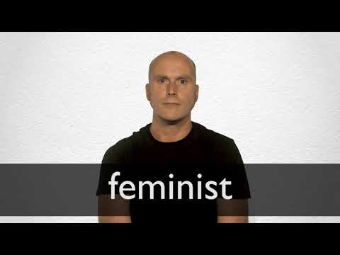 FEMINIST definition and meaning | Collins English Dictionary