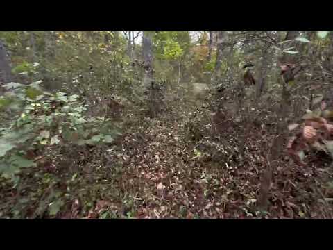 Herbst Woods - Advance of Pettigrew's Brigade - Part I