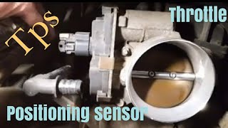 Throttle Positioning Sensor 5.3L/5.7L/6.0L