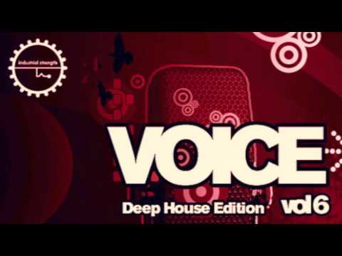 Free Download Voice Vol.6 WAV MiDi-AUDIOSTRiKE