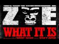 Gorilla Zoe - What it is (ft. Rick ross and Kollosus ...
