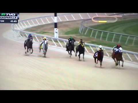 GASPARILLA (G STAKES) 1/20/18 - ALMOND ROCA !!!