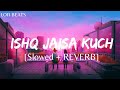 Ishq Jaisa Kuch (Slowed + Reverb) | Shilpa Rao, Mellow D  | Fighter | Lofi Beats