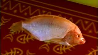 Massimo Vivona - Counterfeit (1997)