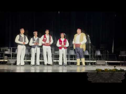 Mala moja, sa kamena zmijo - Muška pjevačka grupa KUD-a "Jovan Jovanović Zmaj" Sollenau